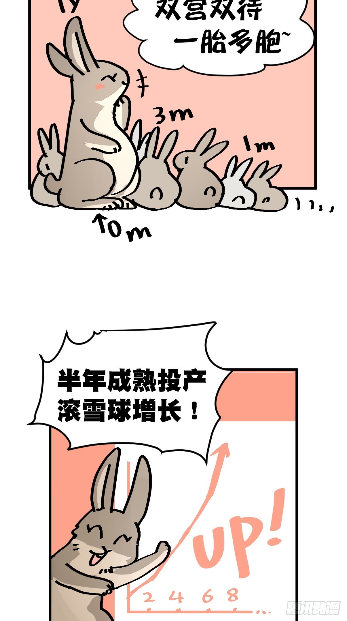 十日谈24：兔年说兔·1