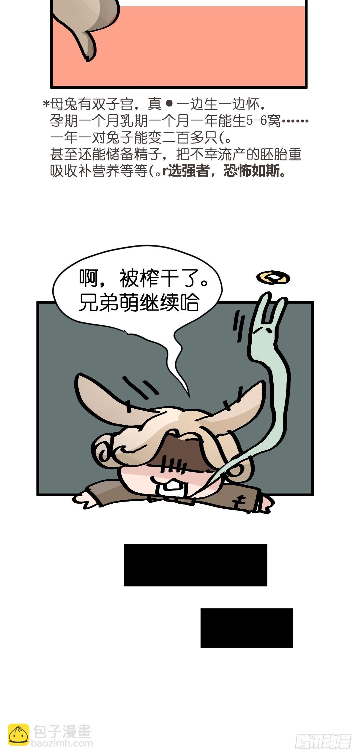 十日谈24：兔年说兔·1