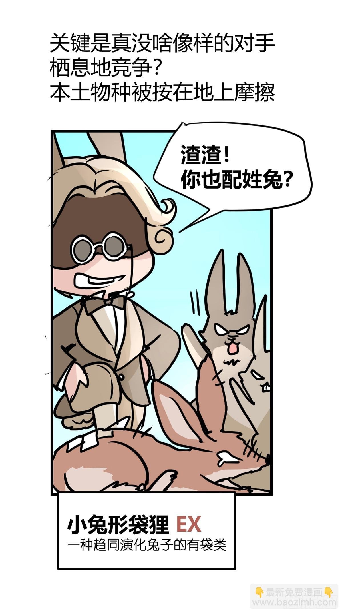 十日谈24：兔年说兔·1