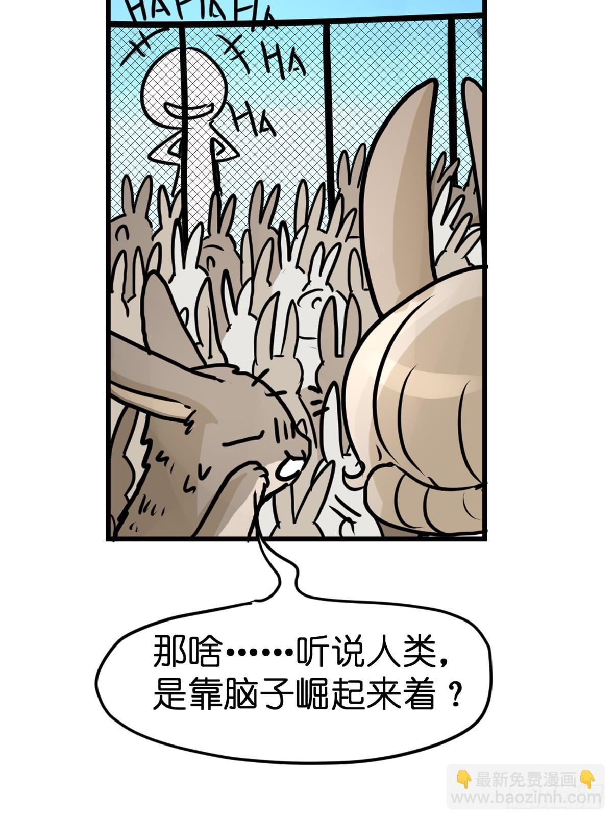 十日谈24：兔年说兔·1