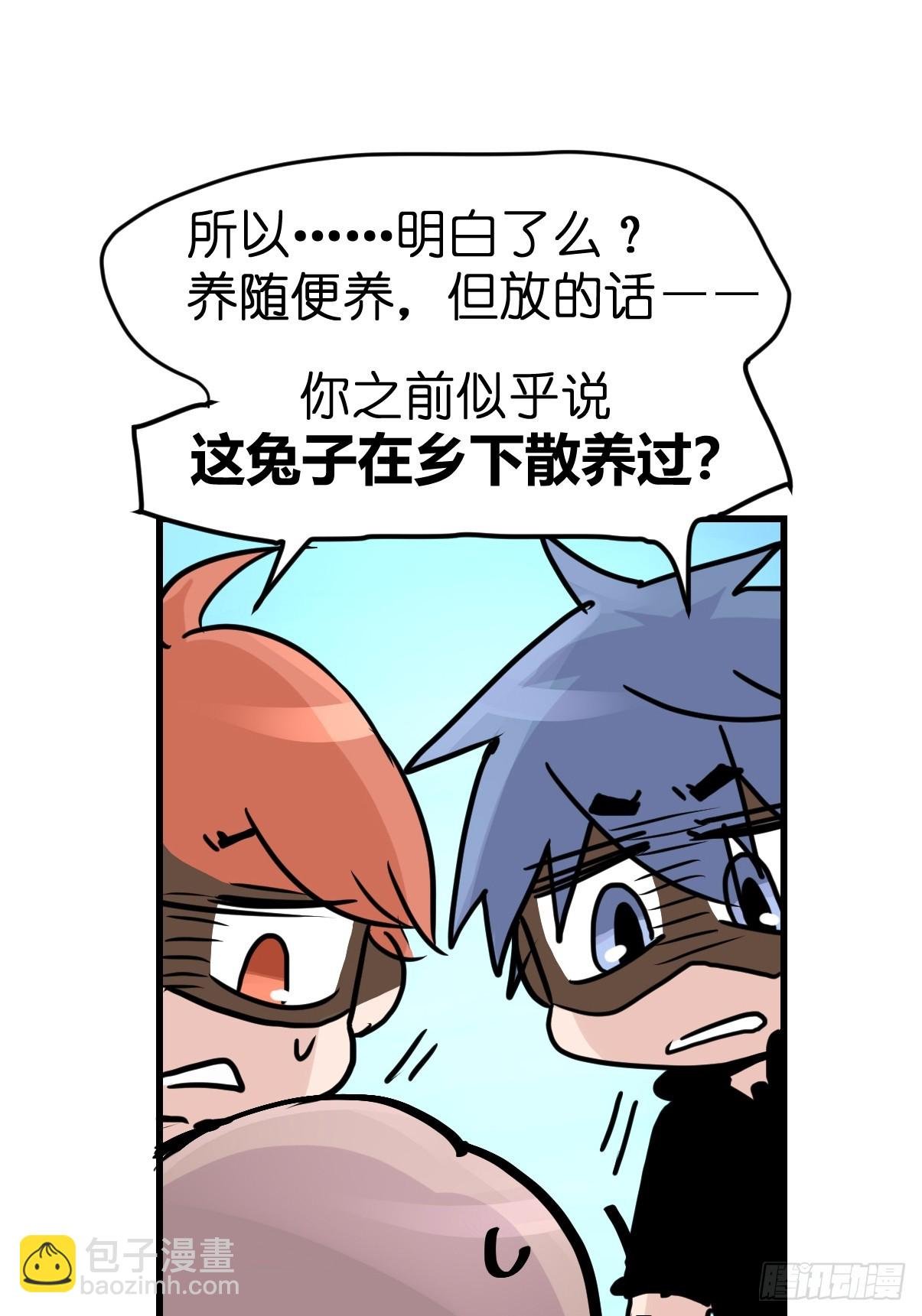 十日谈25：兔年说兔·2