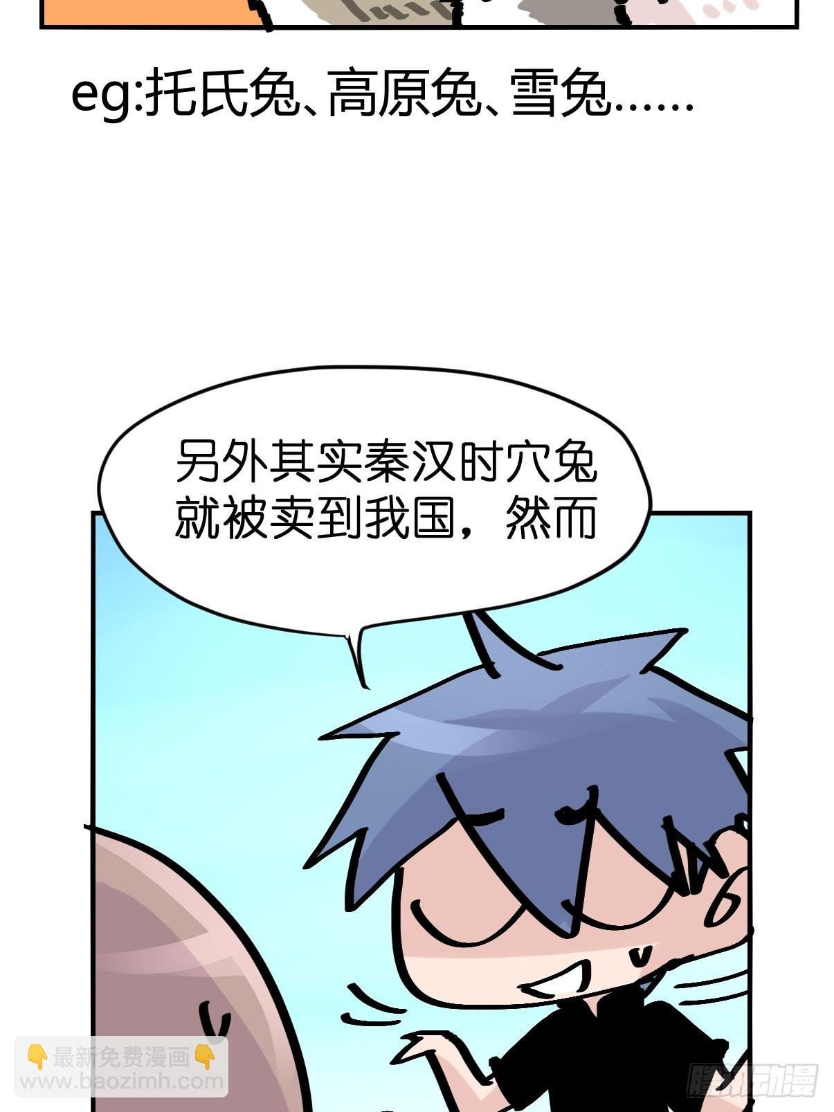 十日谈25：兔年说兔·2