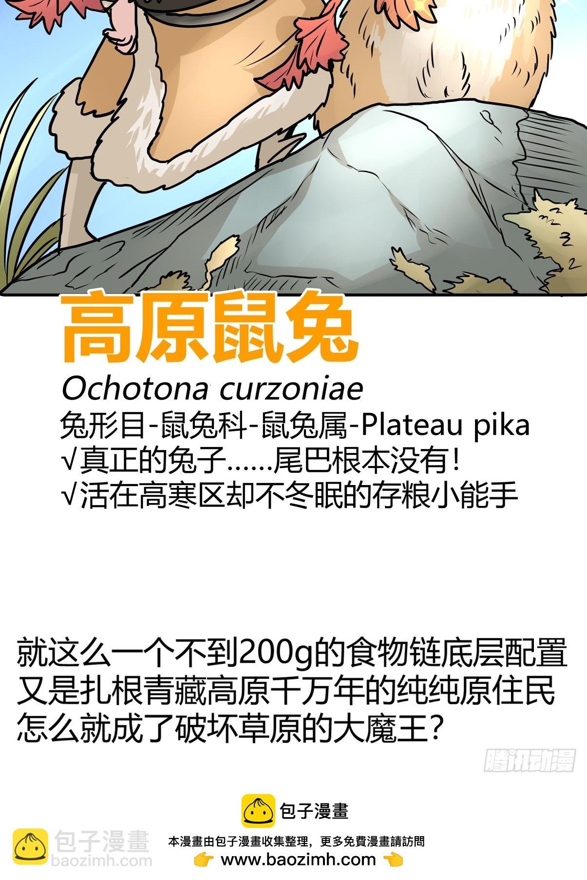 十日谈25：兔年说兔·2