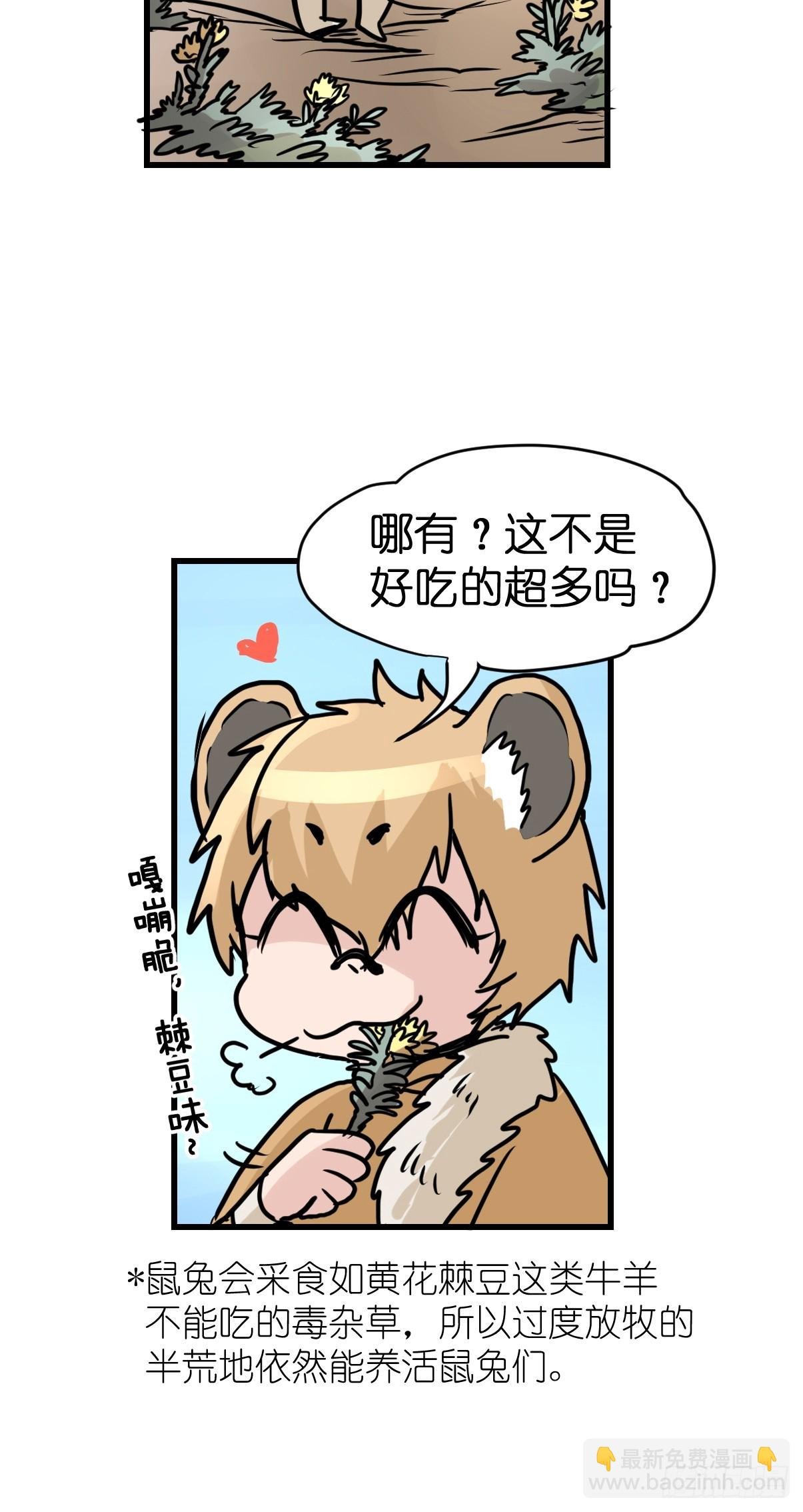 十日谈26：兔年说兔·3