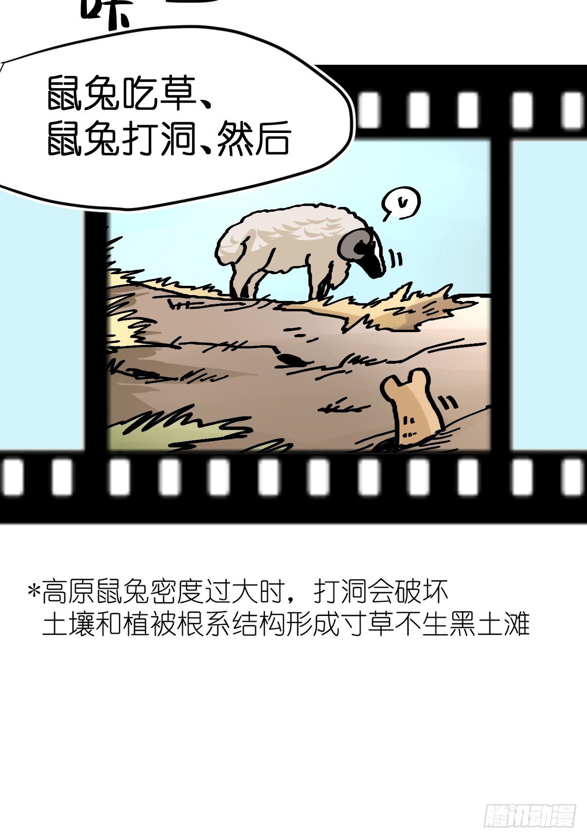 十日谈26：兔年说兔·3
