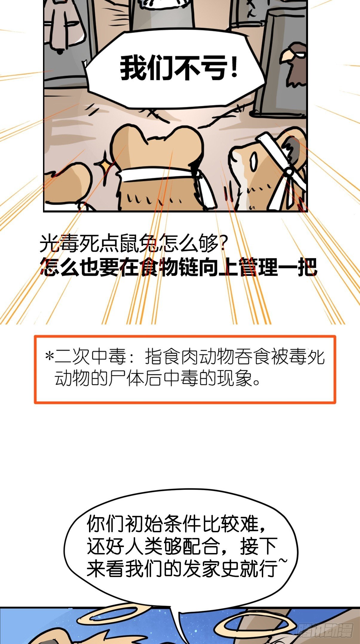 十日谈26：兔年说兔·3