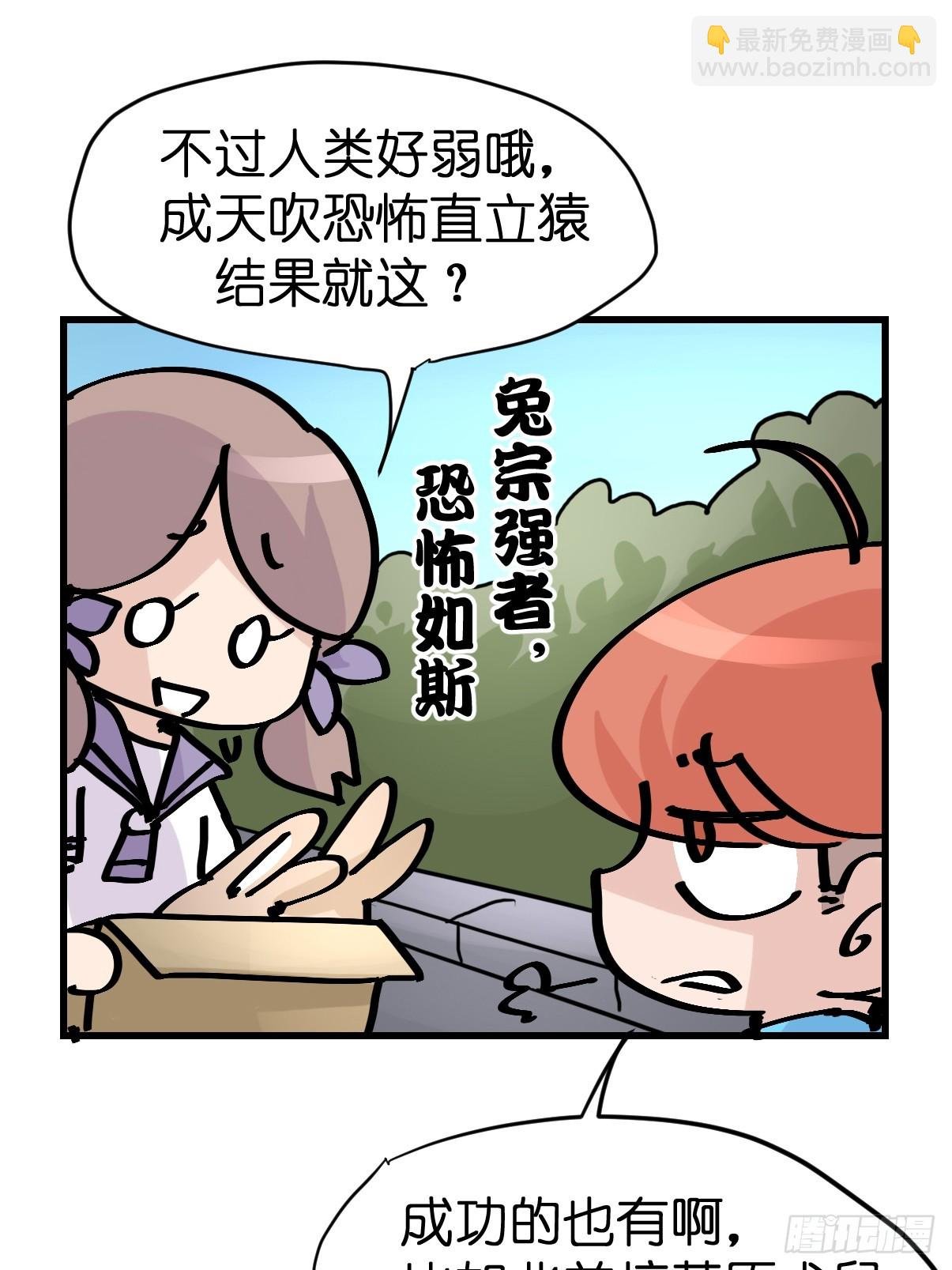 十日谈26：兔年说兔·3