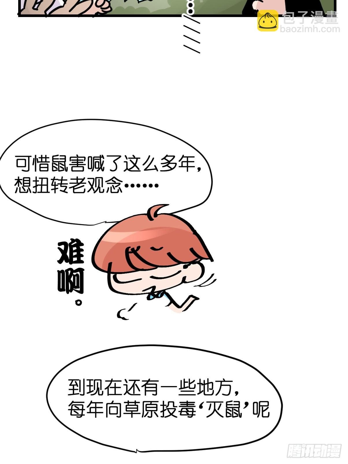 十日谈26：兔年说兔·3