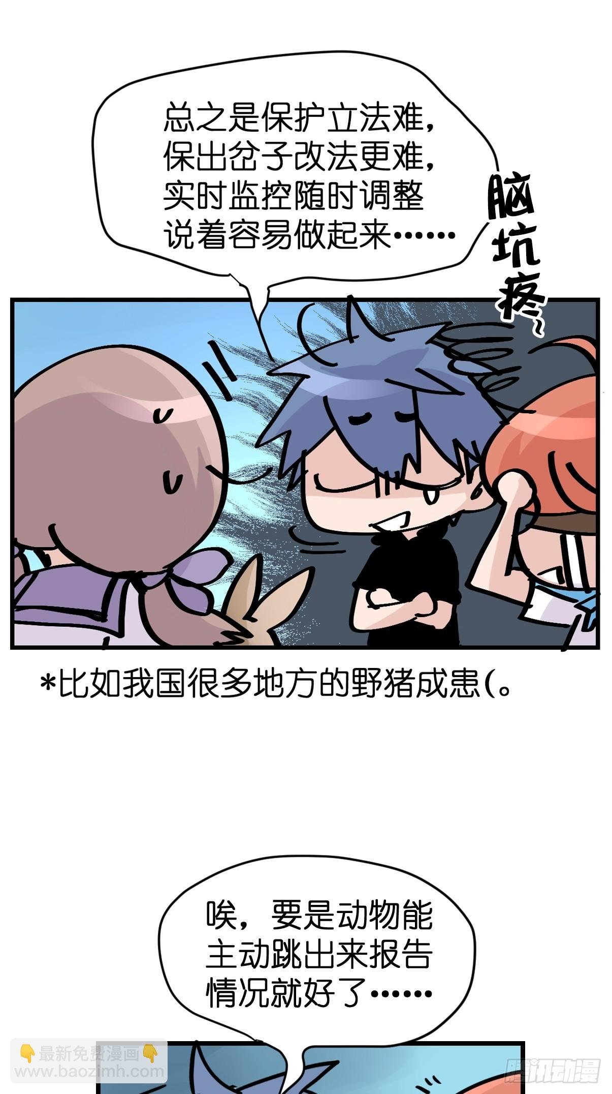 十日谈26：兔年说兔·3