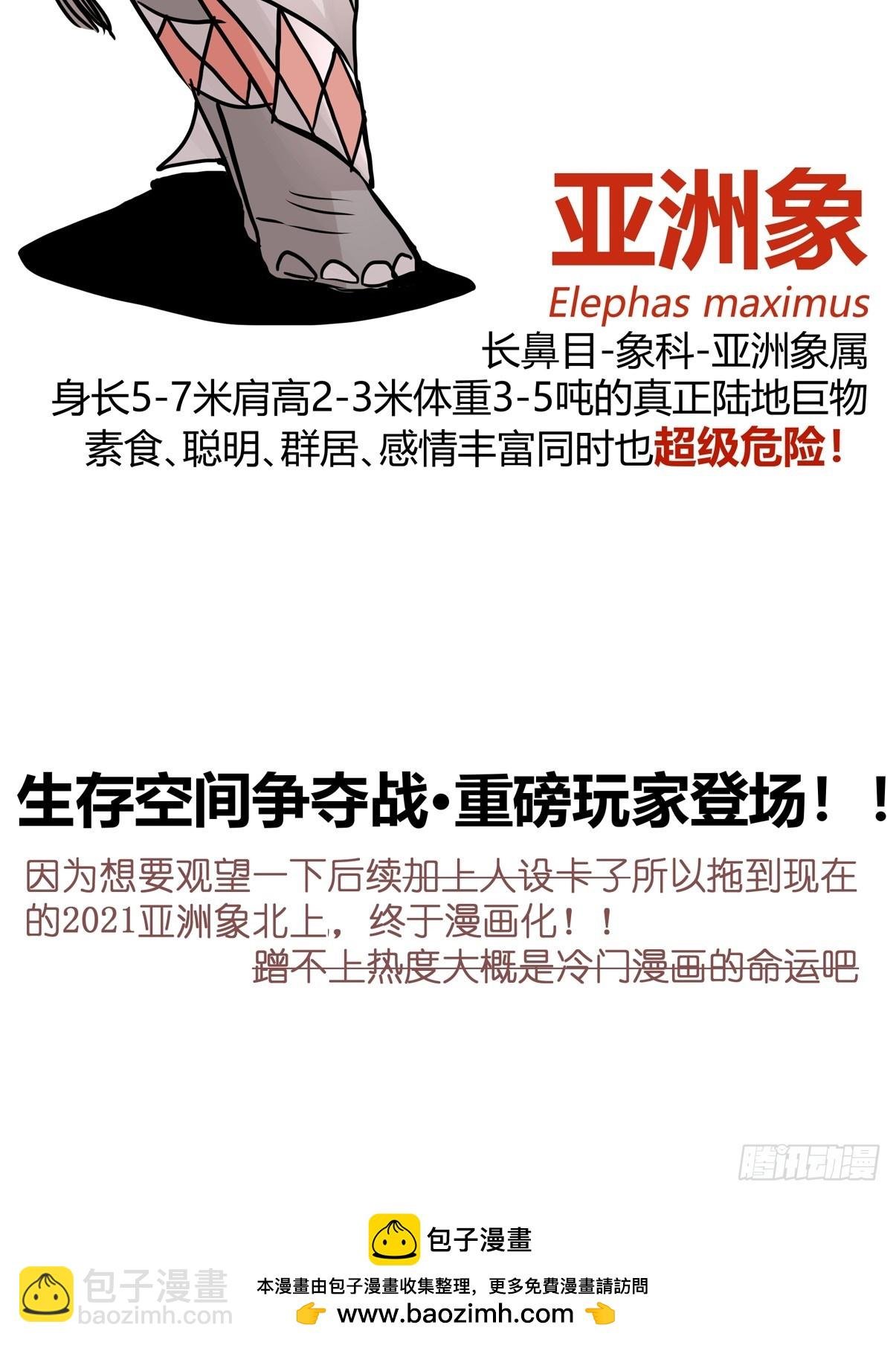 十日谈26：兔年说兔·3