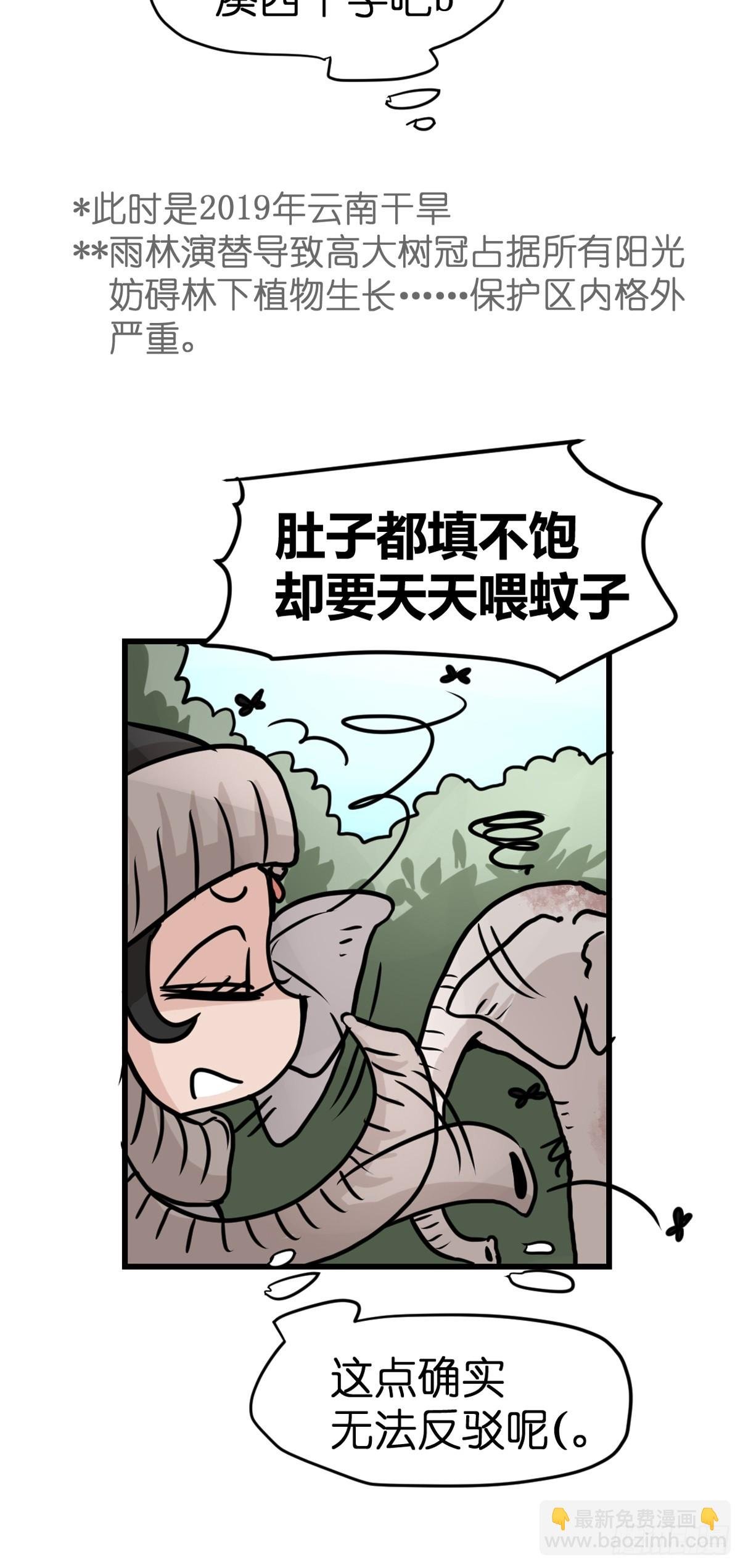 十日谈27：象往何方①