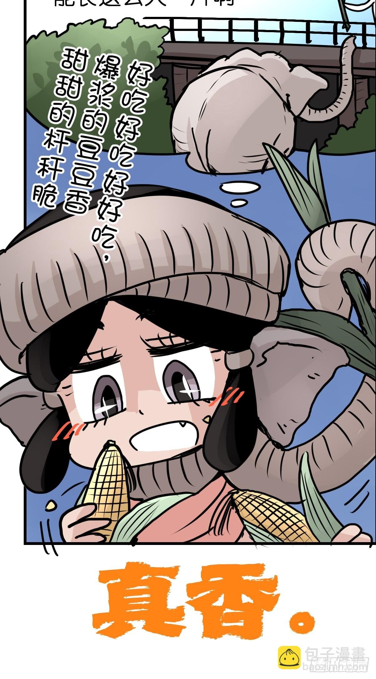 十日谈27：象往何方①