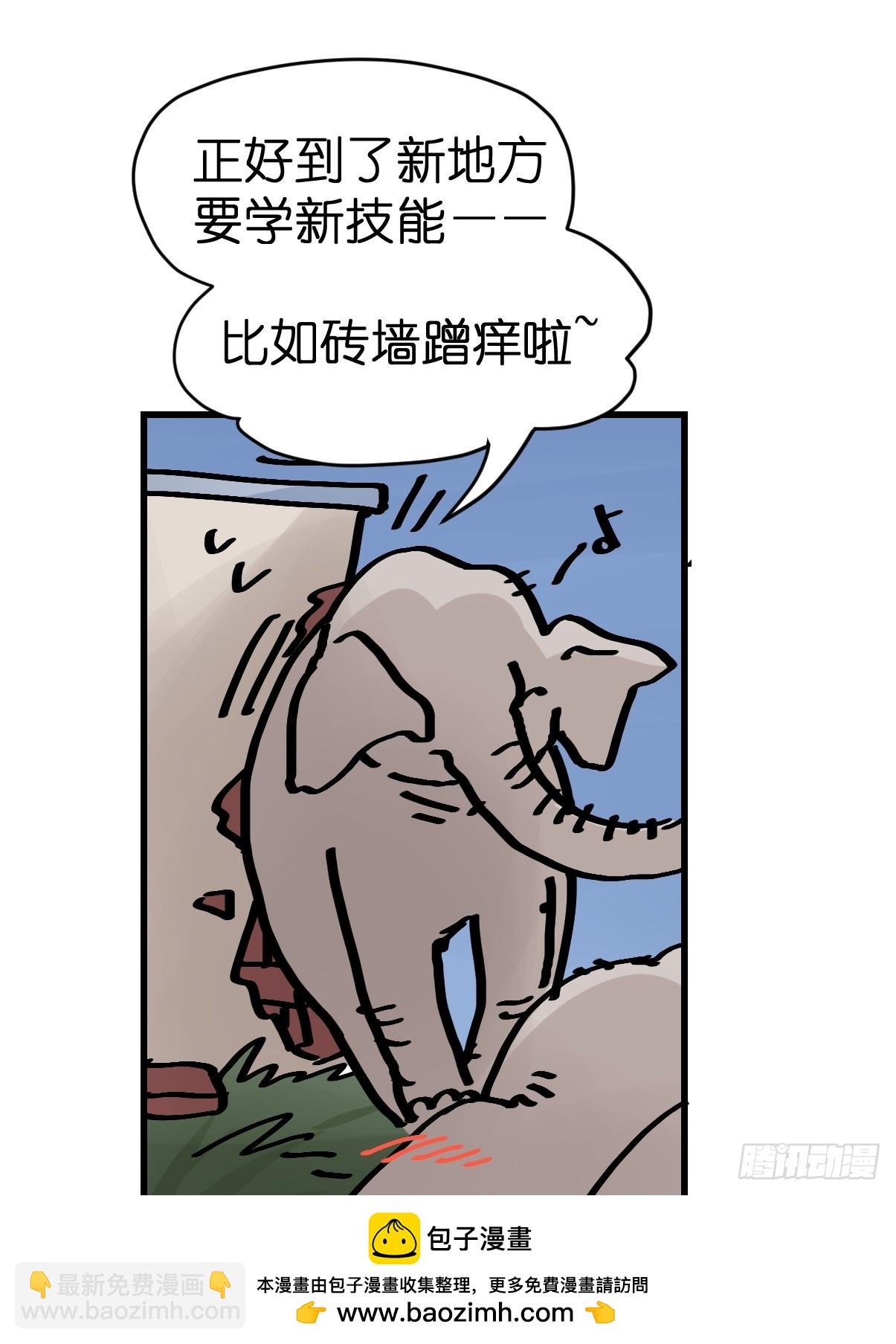 十日谈27：象往何方①