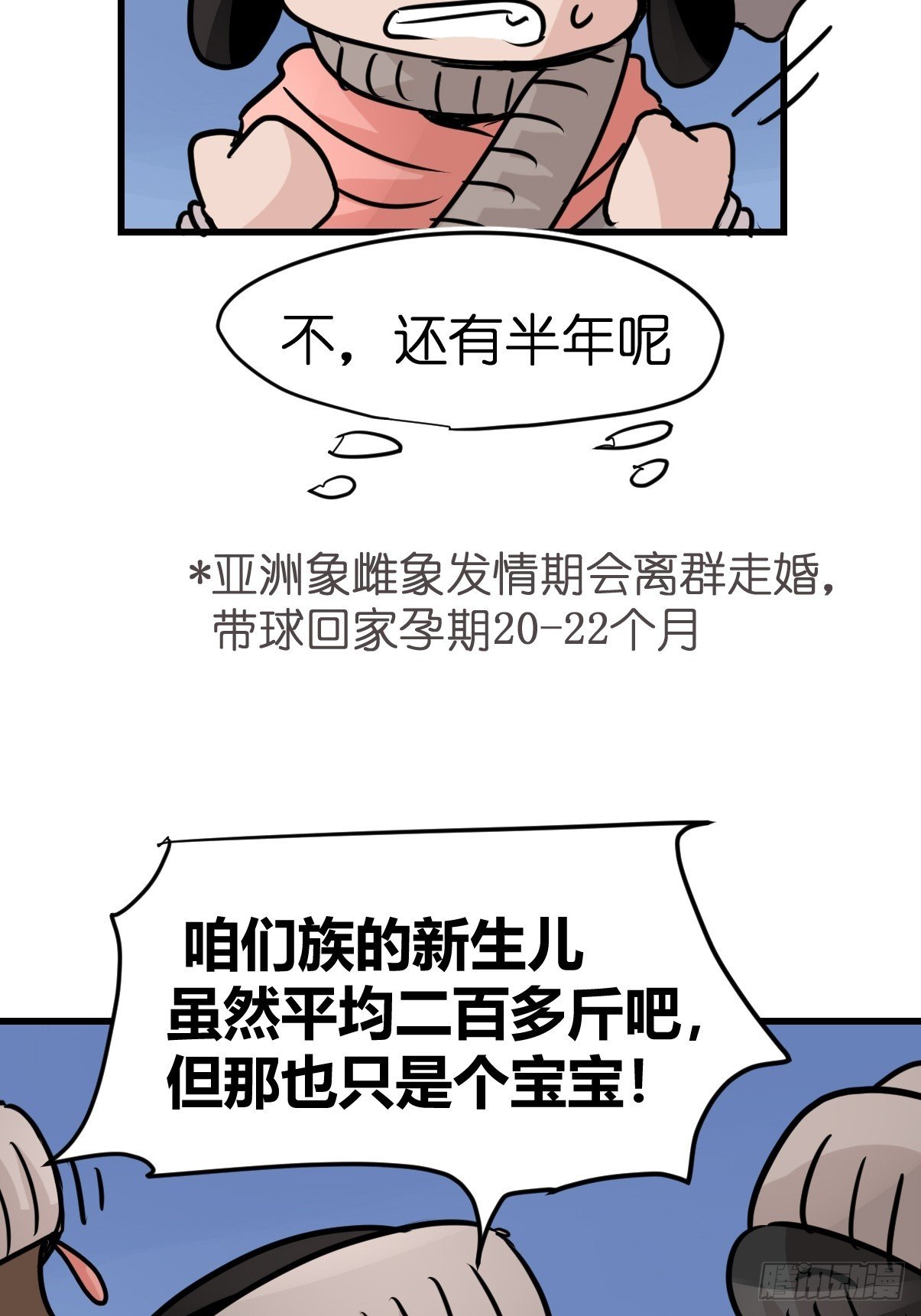 十日谈28：象往何方②
