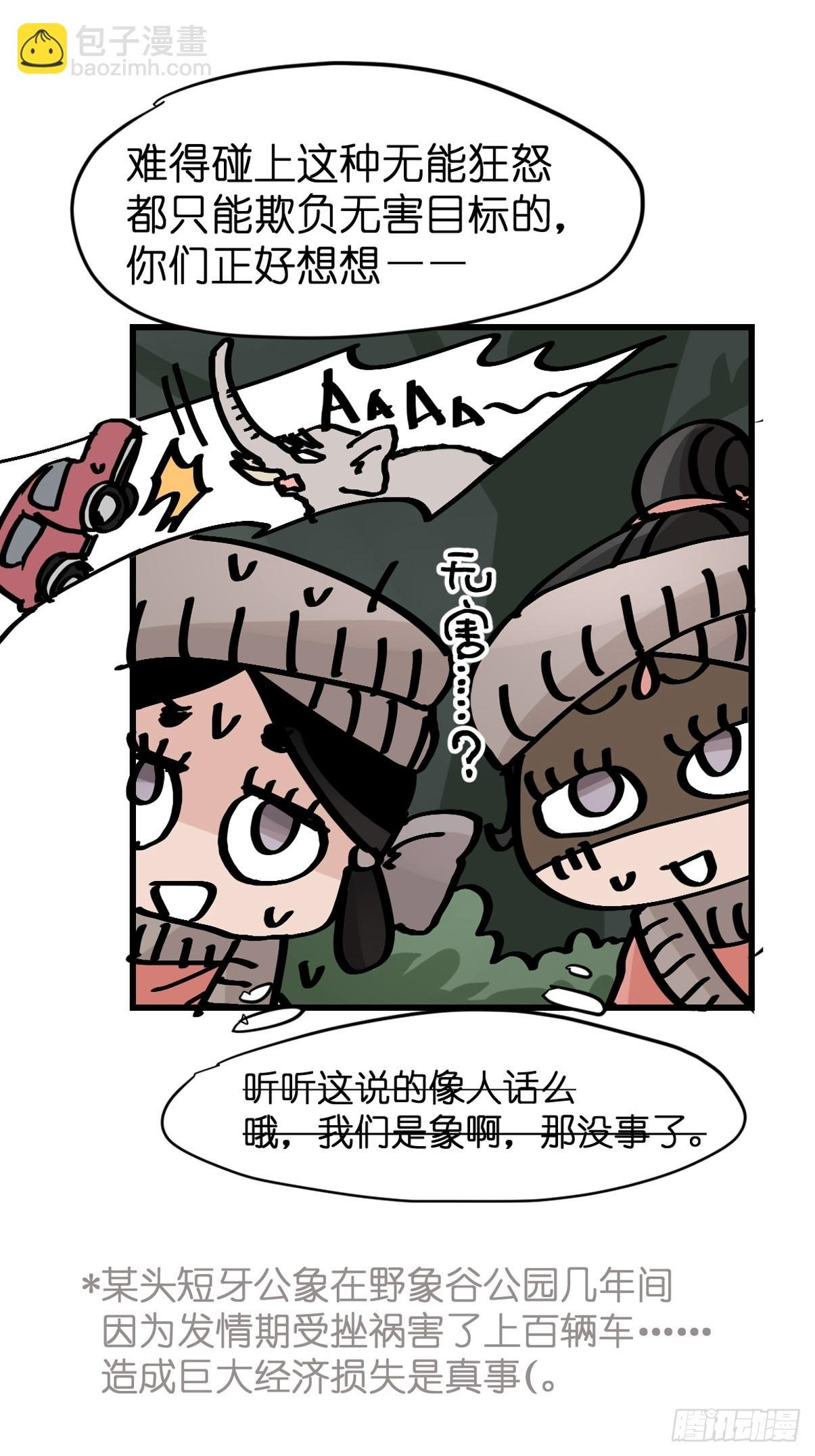 十日谈29：象往何方③