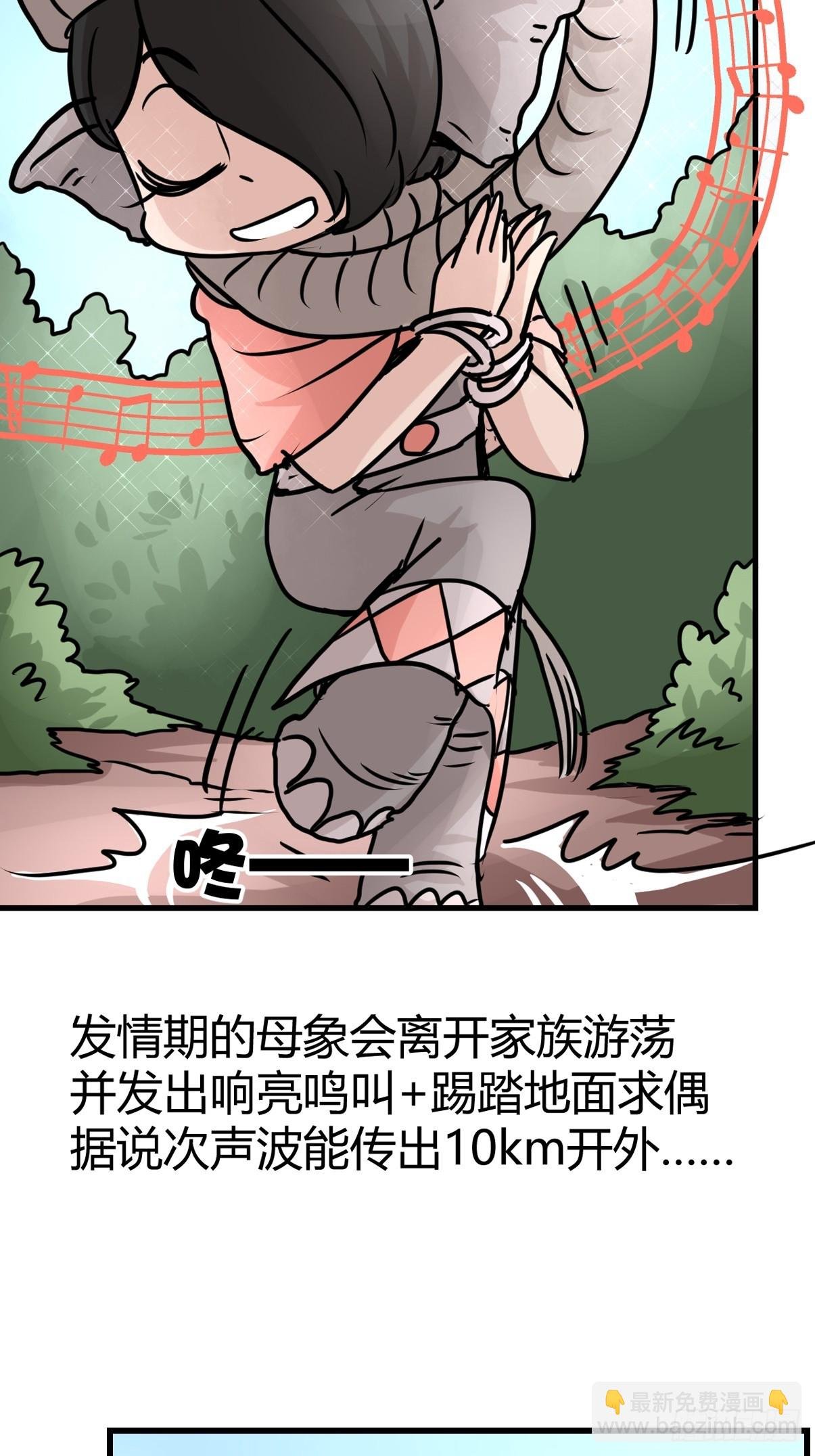 十日谈29：象往何方③