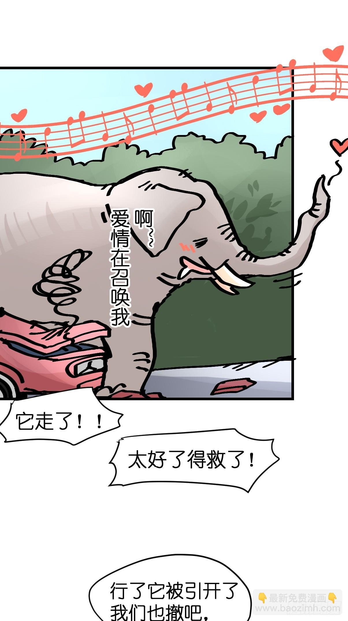 十日谈29：象往何方③