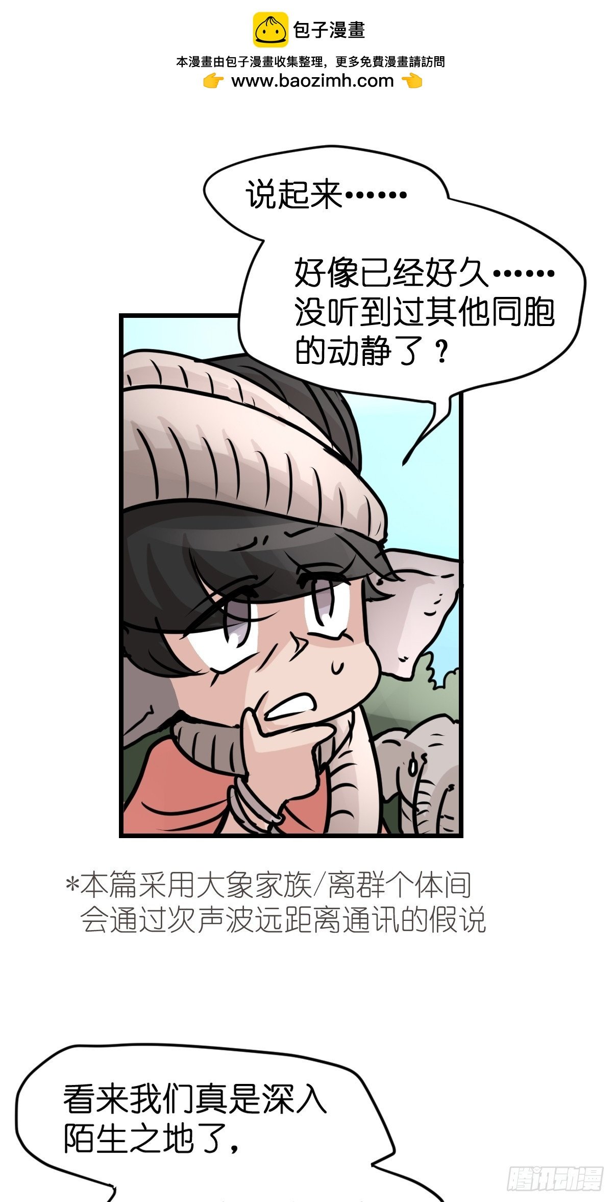 十日谈31：象往何方⑤