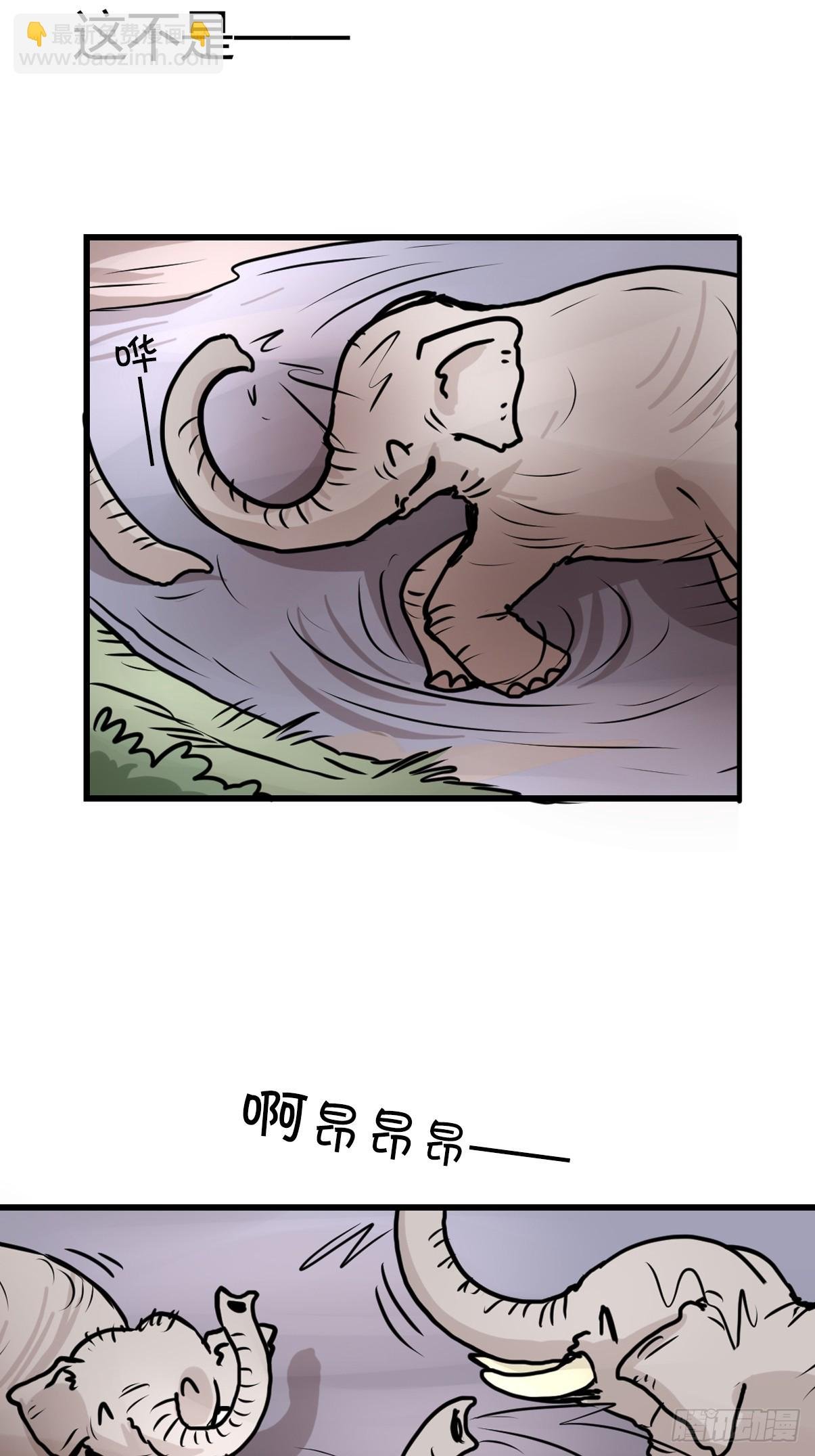 十日谈31：象往何方⑤