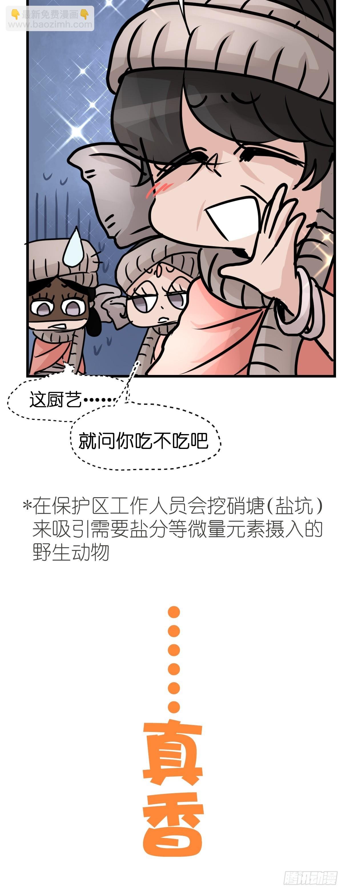 十日谈32：象往何方⑥