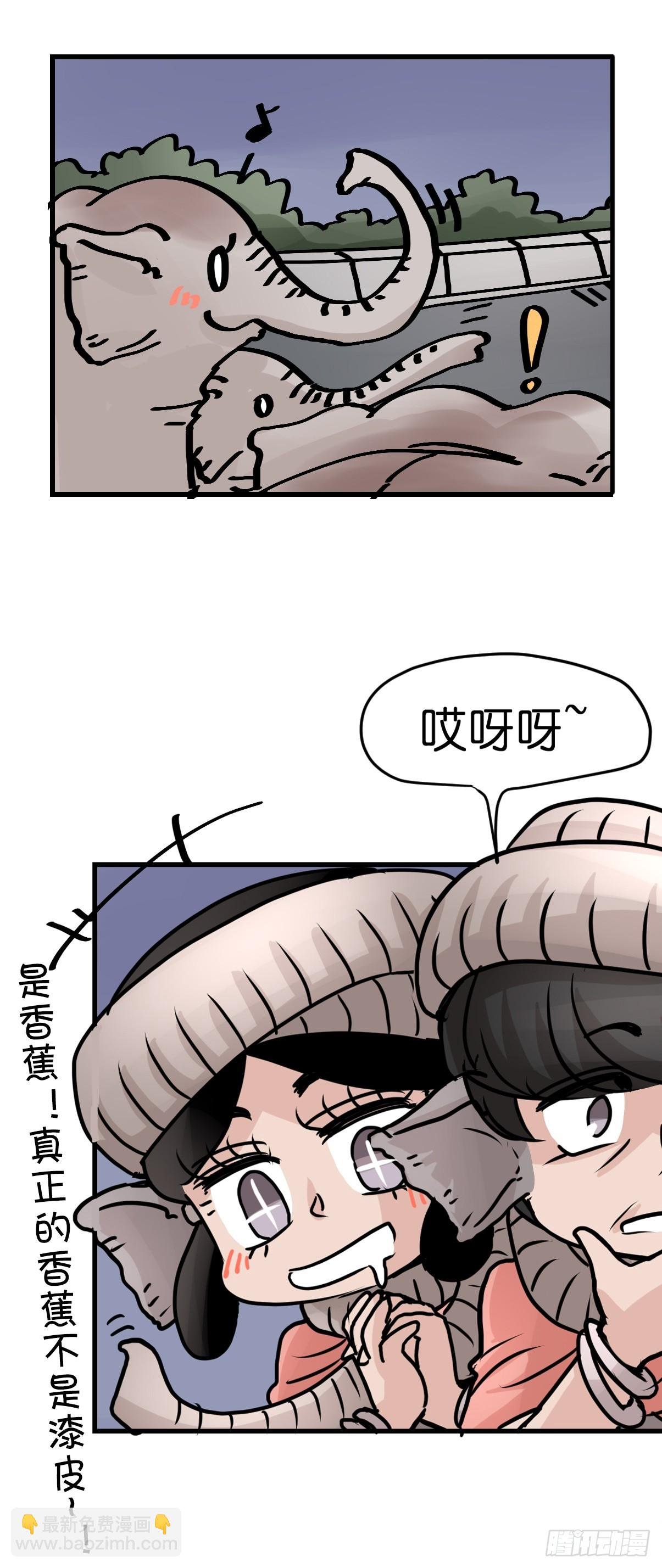 十日谈33：象往何方⑦