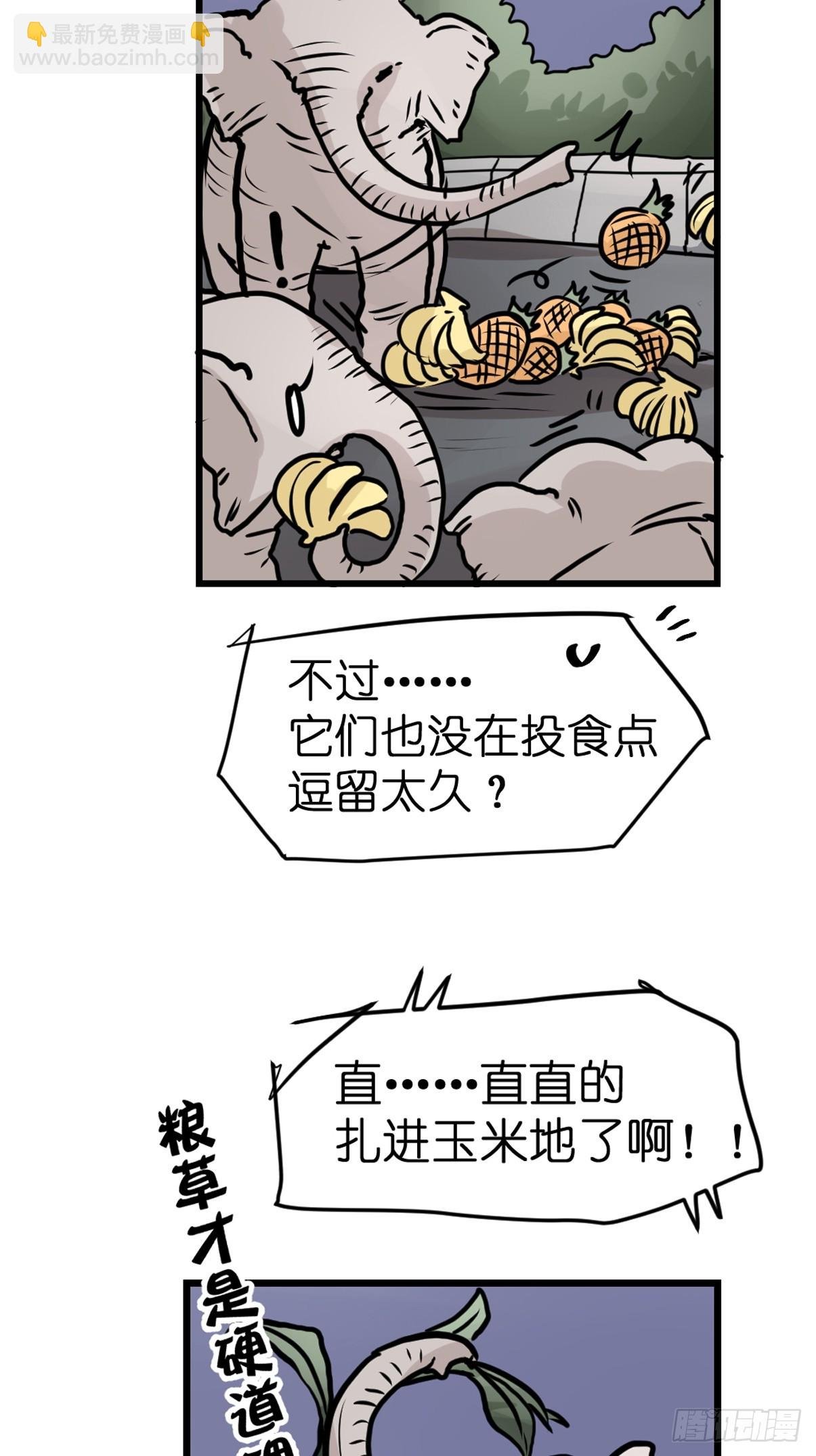 十日谈33：象往何方⑦