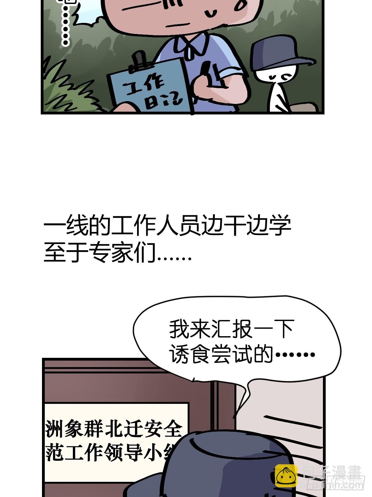 十日谈33：象往何方⑦