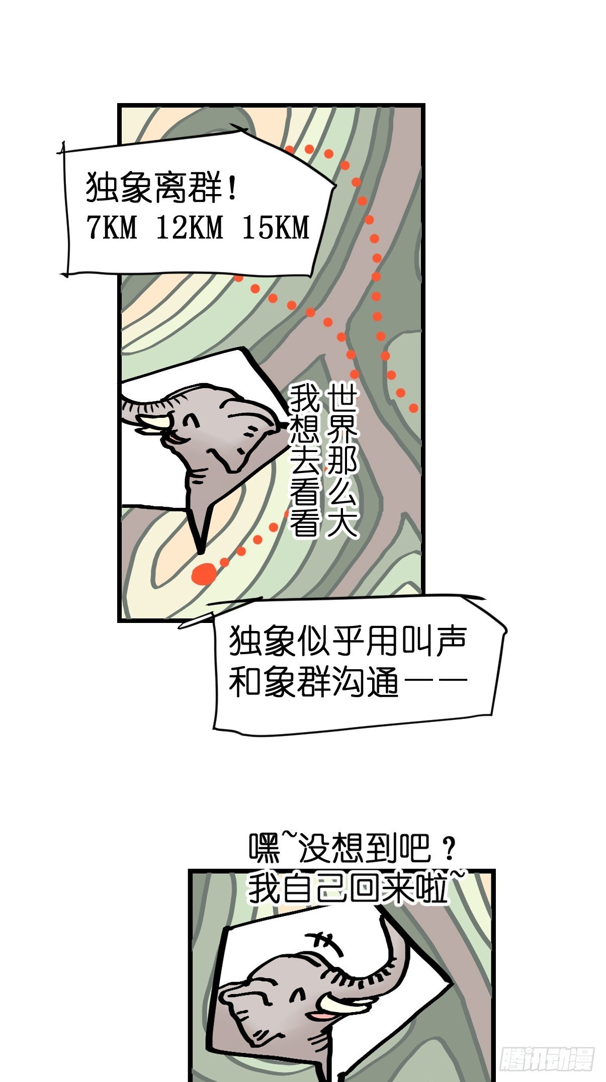 十日谈34：象往何方⑧