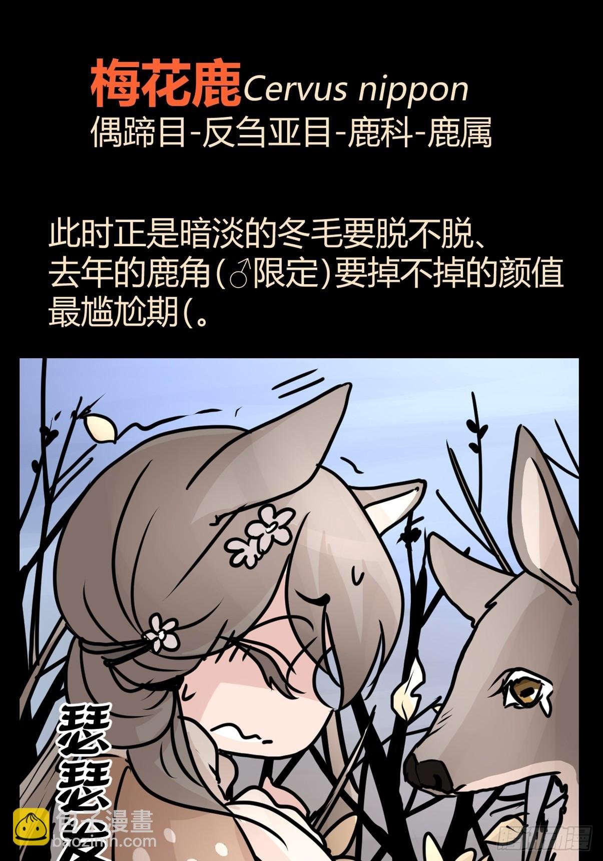 十日谈40：骗吃骗喝的你⑤