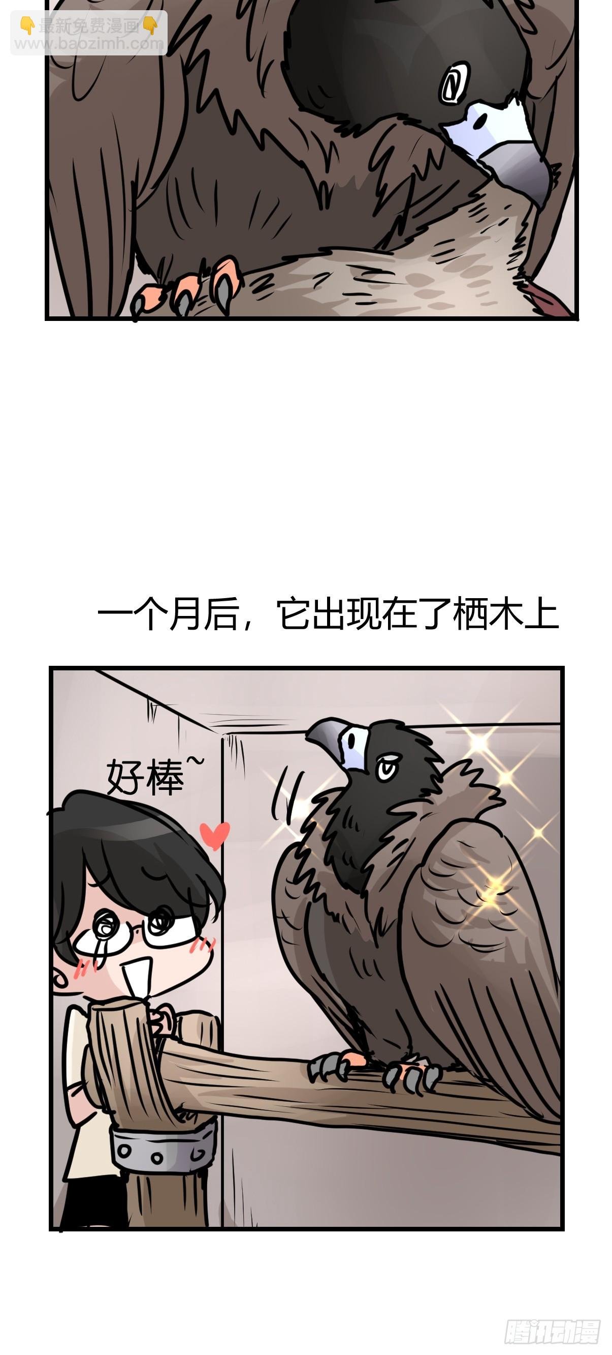 十日谈42：骗吃骗喝的你⑦