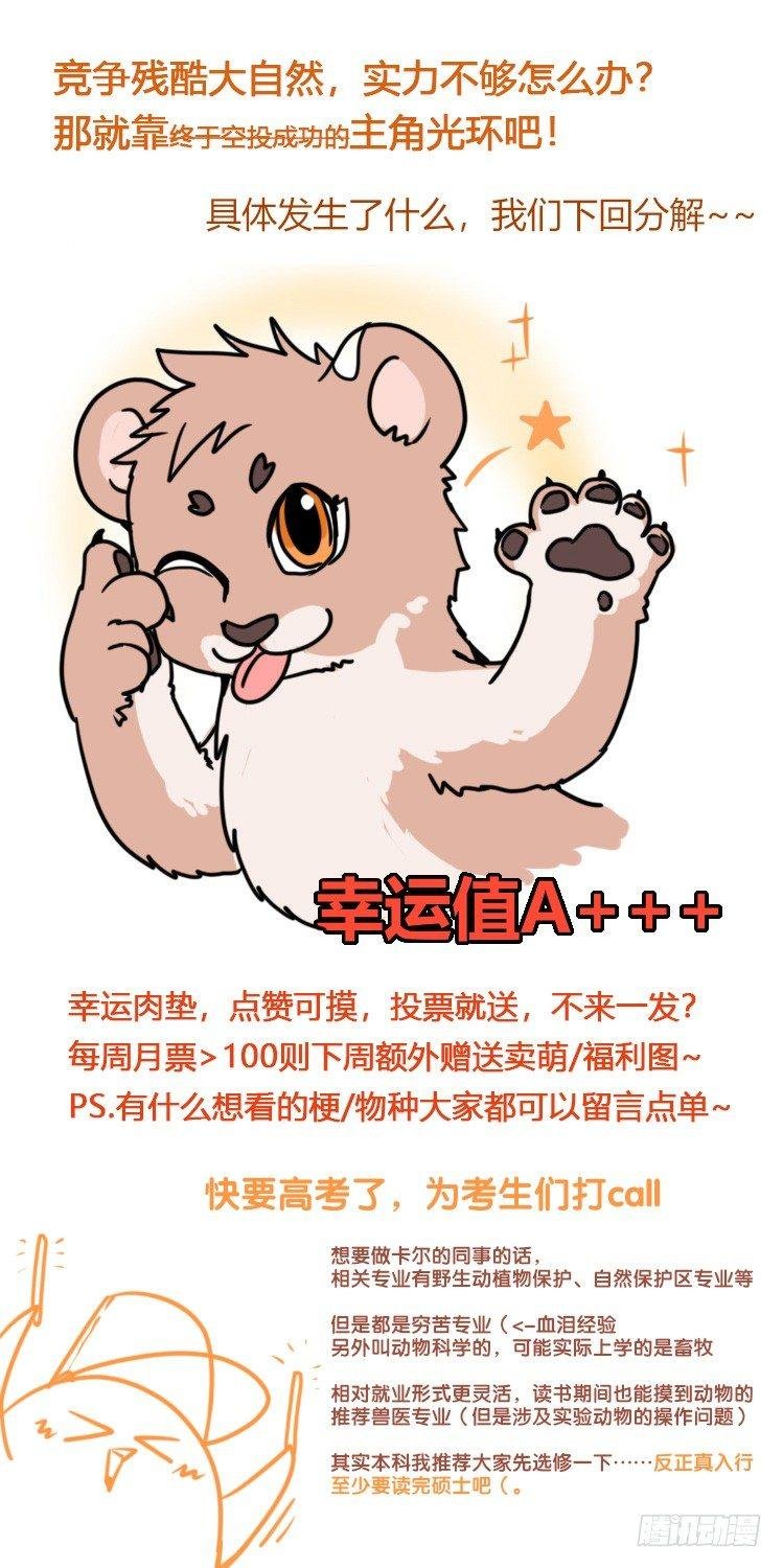 是这样的狮JI王？！-09