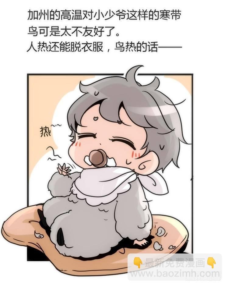 飞吧小少爷：约定了！