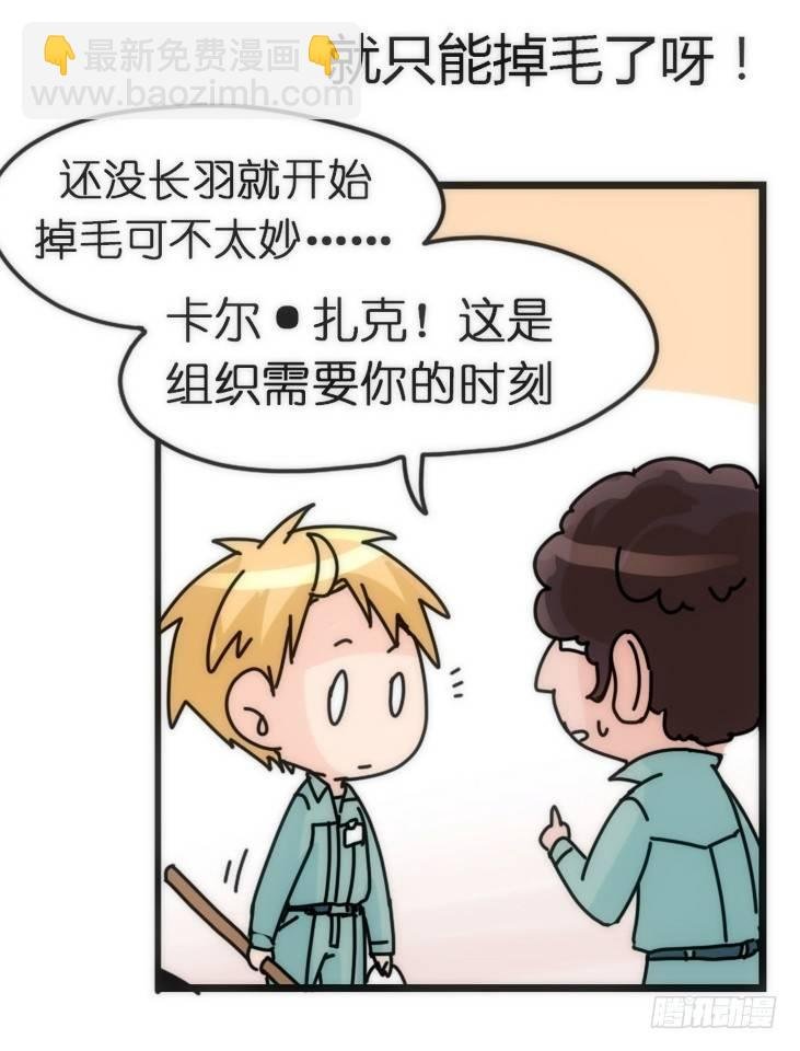 飞吧小少爷：约定了！