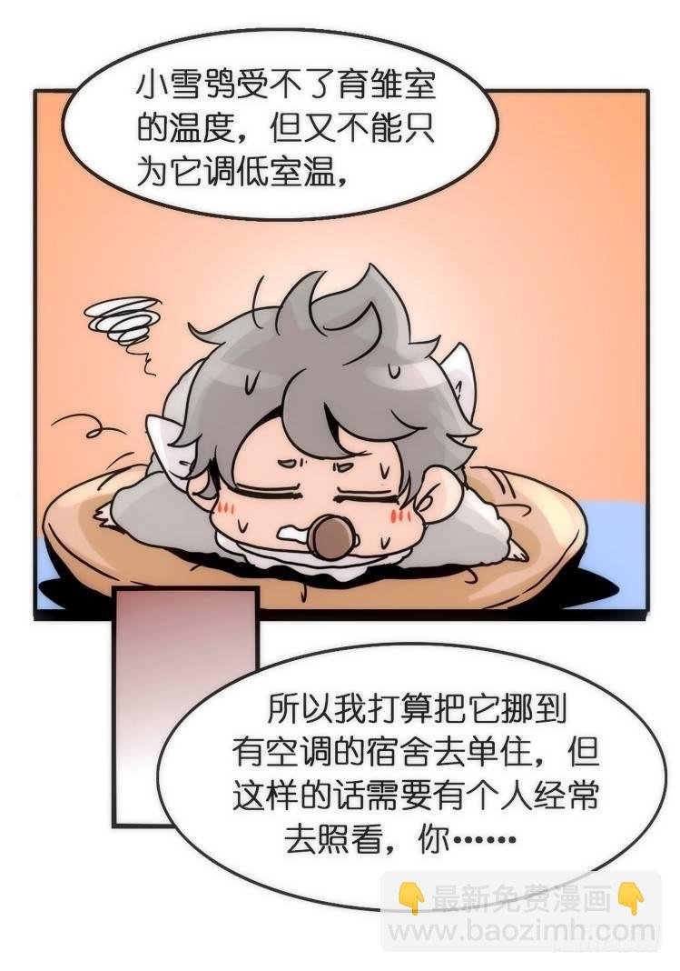 飞吧小少爷：约定了！