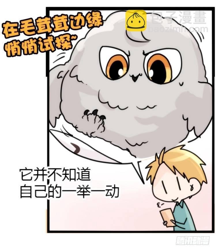 飞吧小少爷：约定了！