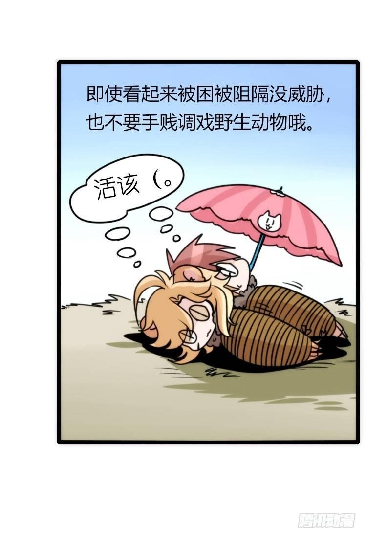 是这样的狮JI王？！-20
