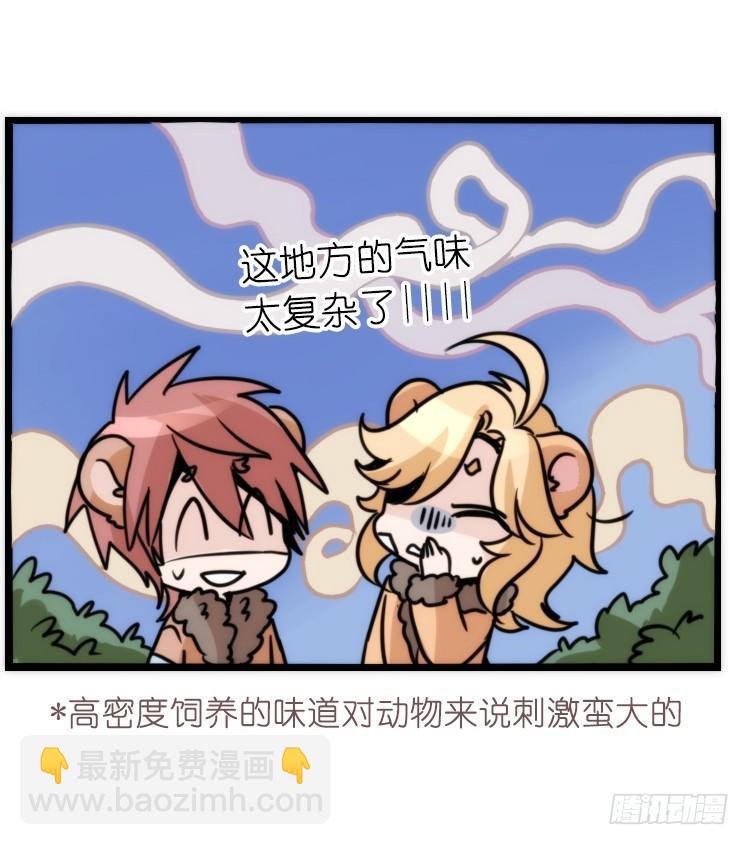 是这样的狮JI王？！-20