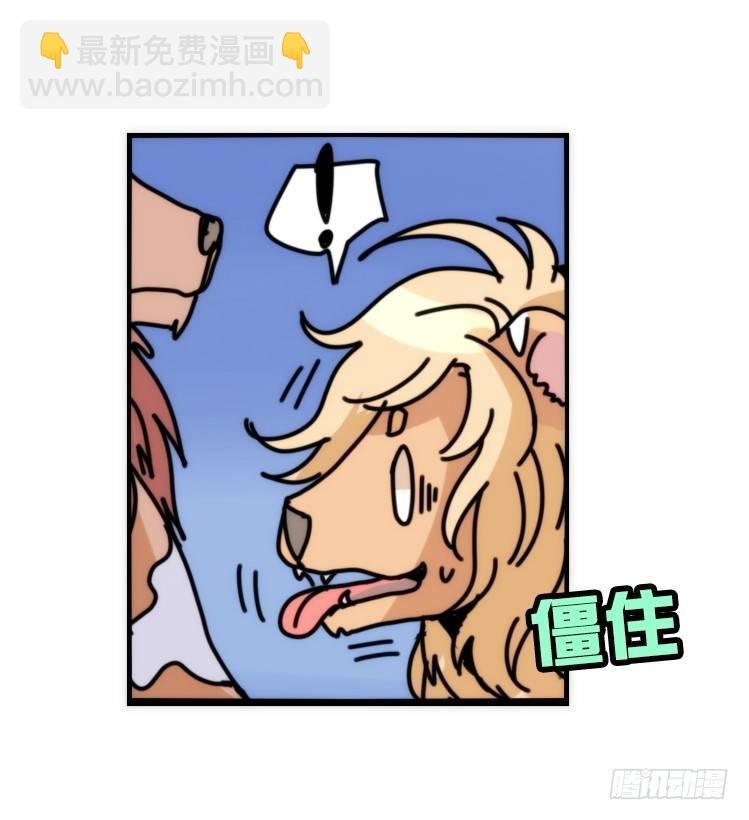 是这样的狮JI王？！-20