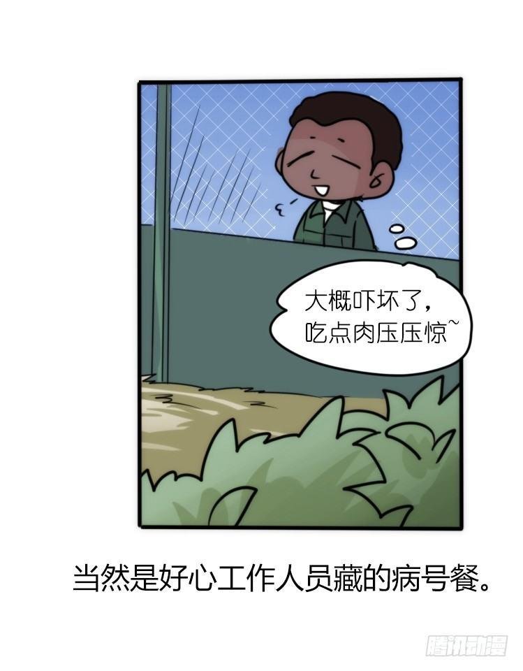 是这样的狮JI王？！-20