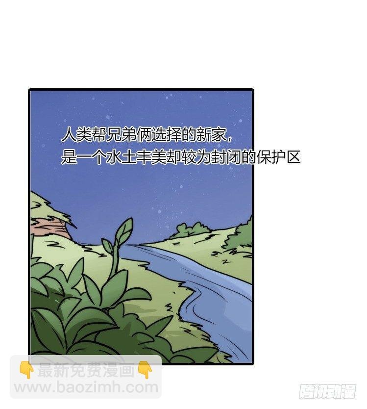 是这样的狮JI王？！-21