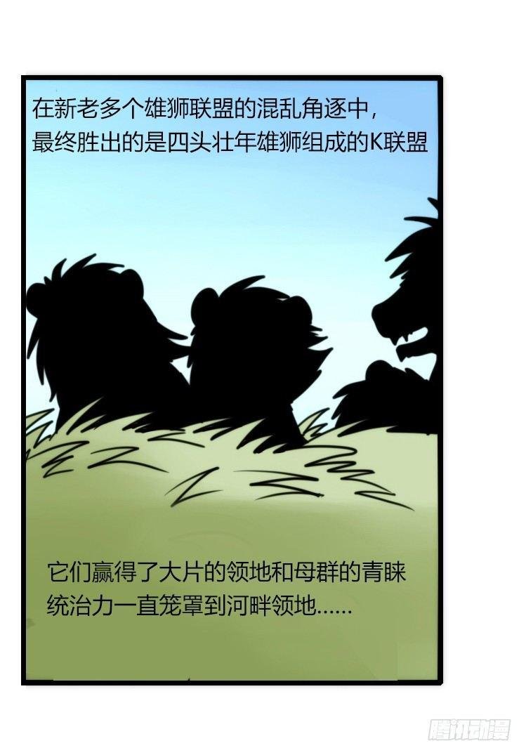 是这样的狮JI王？！-22