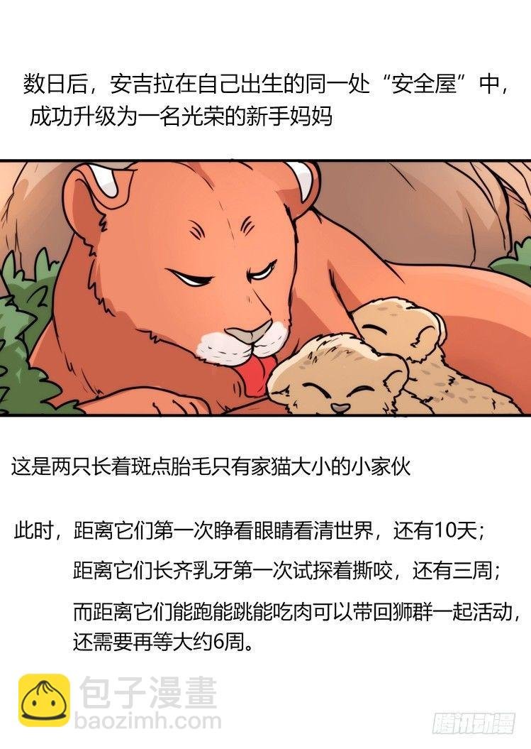 是这样的狮JI王？！-24