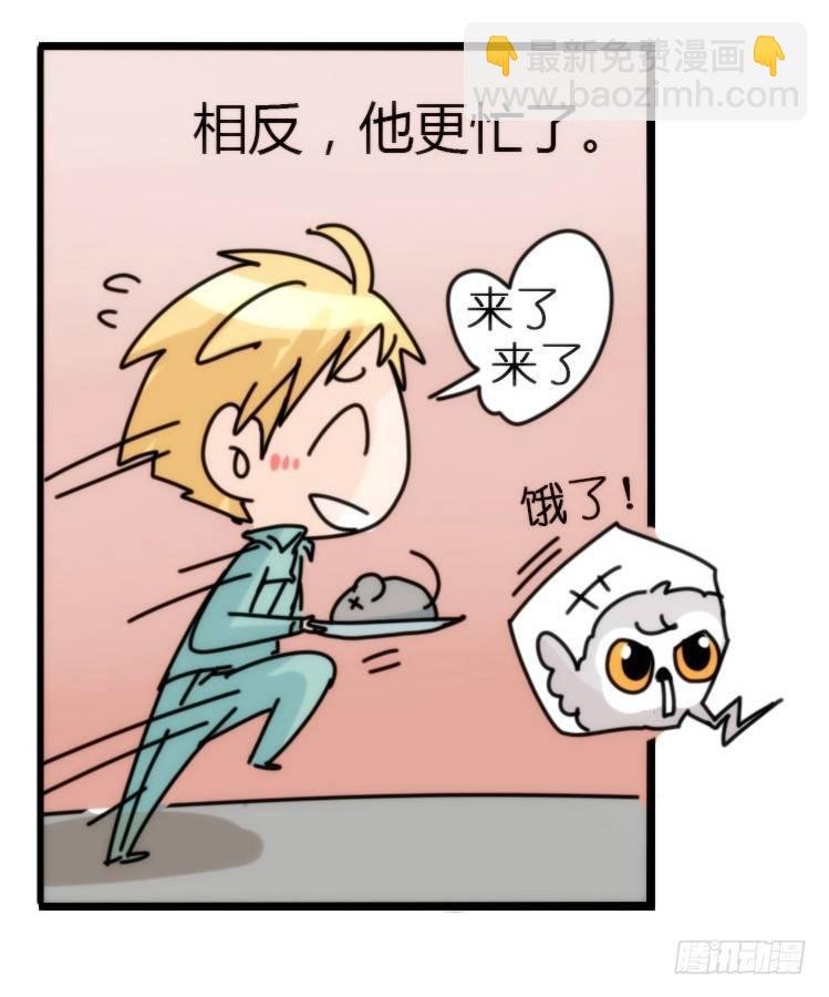 飞吧小少爷：网红风波·上