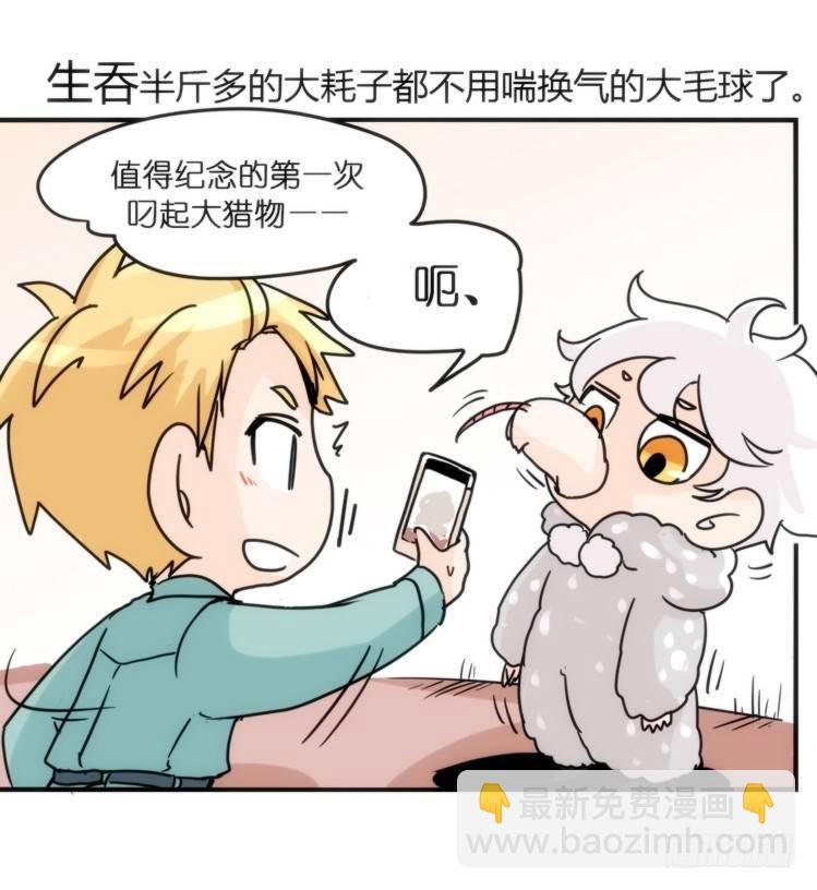 飞吧小少爷：网红风波·上
