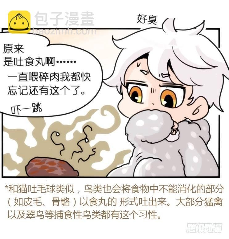 飞吧小少爷：网红风波·上