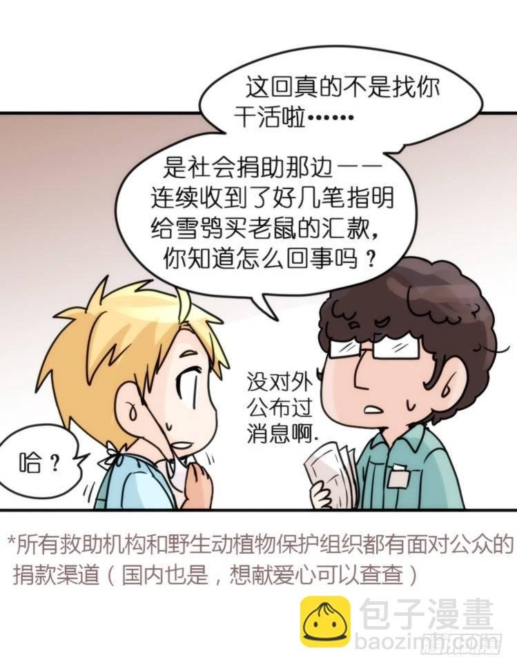 飞吧小少爷：网红风波·上