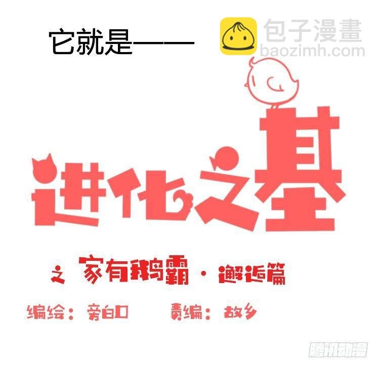 家有鹅霸：命运的邂逅