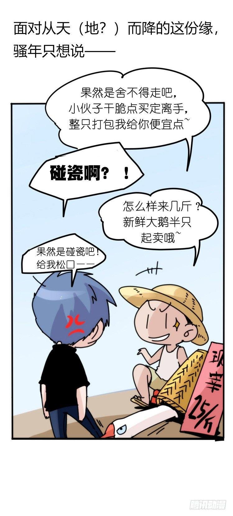 家有鹅霸：命运的邂逅