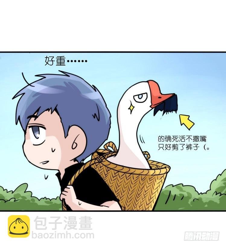 家有鹅霸：命运的邂逅