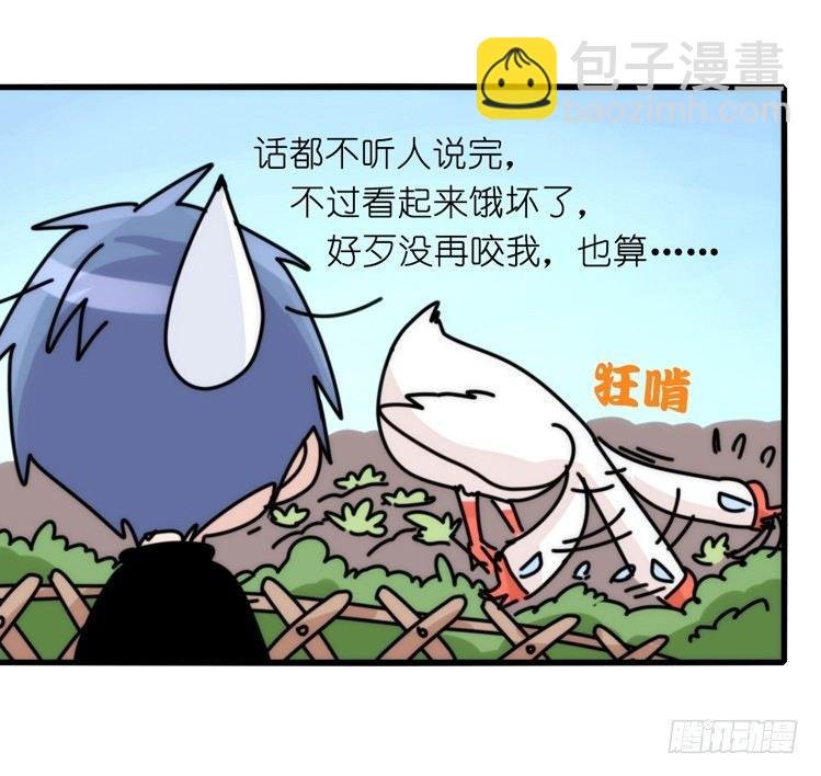 家有鹅霸：命运的邂逅